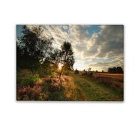 1000 Pieces Puzzle for Adults Gold Sunshine Over Heather Blossoming Hills and Road Family Fun and Casual Beginner Puzzles Educational