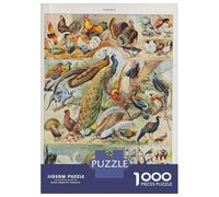 1000 Pieces Puzzle for Adults, Vintage Oiseaux Artwork, Relaxing Puzzle Experience, for Puzzle Lovers, Precision Cut Pieces, 70x50cm/1000pcs