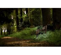 1000 Pieces, Puzzle, Skill Game for the Whole Family, Colourful Tile Game, Adult Puzzle from 6 Years, Park Bench 50x70CM