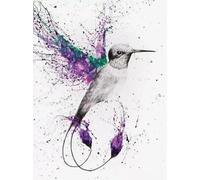 1000 Pieces Puzzles - Animal Hummingbirds Posters - Colorful Abstract Jigsaw - Memory Games For Adults - Family Educational Toys Ja277Zp