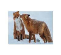 1000 Pieces Puzzles for Adults，2 foxes in the snow，Puzzle Challenging Educational Toys Puzzles Reduced Pressure Gift（75x50cm）-J77