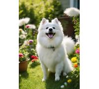 1000 Pieces Puzzles for Adults - American Eskimo Dog in The Garden Funny Family Interactive for Puzzles Club Decor Or Gifts for Friends