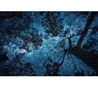 1000 Pieces Puzzles For Adults And Jigsaw Puzzles Beautiful Night Sky The Milky Way And The Trees Formation Paper50x70cm