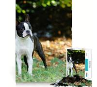 1000 Pieces Puzzles for Adults Boston Terrier Tight Cut Fun, Logic Thinking Play, Leisure Fun Time, Xmas Scene Art (50x75cm)