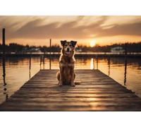 1000 Pieces Puzzles for Adults - Dog On The Dock at Sunset Funny Puzzle, Seek And Find Activities, Puzzle Toys For Toddlers And Kids