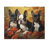 1000 Pieces Puzzles for Adults - Dogs in Forest Boston Terrier in Autumn Park Funny Puzzle Educational Learning Toys for Girls and Boys