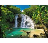1000 Pieces Puzzles for Adults - Dunn's River Falls in Jamaica Colorful Funny Jigsaw Puzzles Learning & Fun Educational Toys Gift