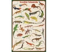 1000 Pieces Puzzles for Adults - Exotic Lizards Reptiles Great Funny Jigsaw Puzzles Learning & Fun Educational Toys Gift