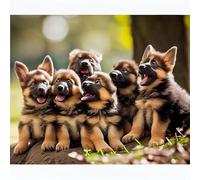 1000 Pieces Puzzles for Adults - German Shepherd - Puppies Playing in The Park Challenging Gifts for Jigsaw Puzzle Lovers, Enjoy Happy Time with Friends, Framable Room Wall Decoration
