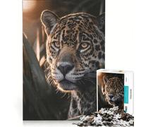 1000 Pieces Puzzles for Adults Jaguar in Natural Light, Educational Game, Train Your Brain And Hands, Improving Love between Couples (38x26cm)