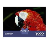 1000 Pieces Puzzles for Adults Parrot Teenager Puzzles Brain Teaser Game Home Decoration for Is Ideal As A Gift 52x38cm/1000pcs