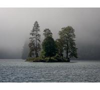 1000 Pieces Puzzles for Adults Puzzle Wall Decoration Birthday and Xmas Gifts - Island trees fog 75x50cm