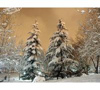 1000 Pieces Puzzles for Adults Puzzle Wall Decoration Birthday And Xmas Gifts - Park firtrees snow 75x50cm