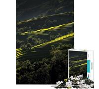 1000 Pieces Puzzles for Adults Rice Terraces in Vietnam Jigsaw Puzzle Brain Teaser Game Analysis And Logic Unique Gifts for Birthday And Christmas (Size 38x52cm)