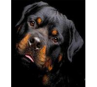 1000 Pieces Puzzles for Adults - Rottweiler Dog Picture Fun Educational Toys Decompressing Intellectual Puzzles Gift for Easter Hallowen Christmas Birthday