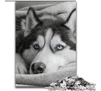 1000 Pieces Puzzles for Adults Sleeping Husky Puzzles for Adults 26X38CM Brain Teaser, Adult Game, Family Interactive Activity