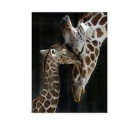 1000 Pieces Puzzles for Adults，Two Giraffes，Unique Artwork Jigsaw Puzzle, Great for Beginners, Gifts for Loved Ones（38x26cm）-S41
