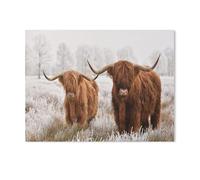 1000 Pieces Puzzles for Adults，Two shaggy Highland cattle，Funny Puzzle Unique Difficult and Challenge Puzzle Game Toys Gift（50x70cm）-T27