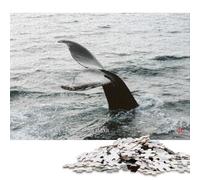 1000 Pieces Puzzles for Adults Whales Iceland NTx Photography Square Puzzle for Adults & Paper Puzzles Home Decor 38x26cm/1000pcs