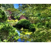 1000 Pieces Puzzles for Teenagers Gifts -Relax Puzzles Games - Garden pond variety 75x50cm