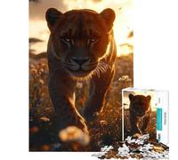 1000 Pieces Puzzles for Teenagers Lioness Walking Through Field at Sunset Help The Brain Exercise Learning Educational Toy Wall Decor Suitable for People Aged 14 And Above (50X75cm)