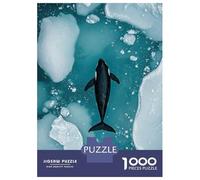1000 Pieces Puzzles for Teenagers Orca in Icy Waters Puzzles for Adults Relaxing Games Staycation Kill Time Deal As Gifts for The Whole Family 52x38cm/1000pcs