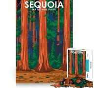 1000 Pieces Puzzles for Teenagers Sequoia National Park Sharp Cut Craft Cognitive Fun Play Idle Time Game Christmas Home Art (38x52cm)