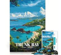 1000 Pieces Puzzles for Teenagers Trunk Bay, Virgin Islands Sharp Cut Art Cognitive Play Gift Calm Play Time Xmas Decor Gift (38x52cm)