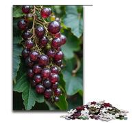 1000 Pieces The Vines Are Full of Jewels Adult Jigsaw Puzzles Family Fun Jigsaws Family Game Stress Reliever Difficult Challenge Puzzle 1000 PCS(75x50cm)