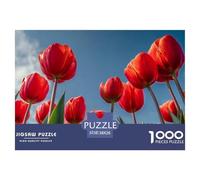 1000 Pieces Tulip Jigsaw Puzzle Adults Teens Fun Relaxation Activity Dutch Landscapes Flower Precision Fit Gift Box 38x26cm/1000pcs