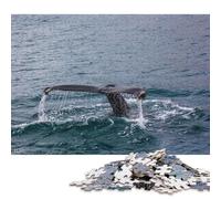 1000 Pieces Whale Chapters Creative Square Paper Jigsaw Puzzles for Adults Educational Game Challenge Toy 38x26cm/1000pcs