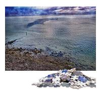 1000 PieceThe Fisherman Jigsaw Puzzles for Adults And Paper Puzzle for Puzzles Lovers 38x26cm/1000pcs