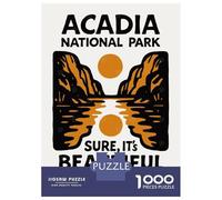 1000 Teenager Pieces Jigsaw Puzzle Acadia National Park Graphic Design Jigsaw Puzzle Hands-on Game Difficult Hard Gifts for Friends And Family 38x26cm/1000pcs