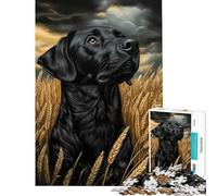 1000 Teenager Pieces Jigsaw Puzzle Black Lab in Wheat Field for Educational Game Challenge Toy Family Game But Fun And Humorous Gifts For Birthdays (Size 50x75cm)