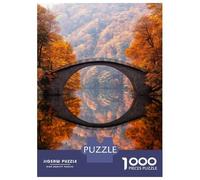 1000 Teenager Pieces Jigsaw Puzzle Stone Arch Bridge Reflection Jigsaw Puzzle Hands-on Game Difficult Hard Gifts for Friends And Family 70x50cm/1000pcs