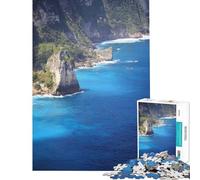 1000 Teenager Pieces Jigsaw Puzzle TURQUOISE DEPTH Fun at Home Activities, Enhance Memory Relaxing Games Suitable for People Aged 14 And Above (38x52cm)