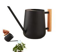 1000ml Watering Can, Small Indoor Plants Stainless Steel Metal Mini Watering Can, for Bonsai Outdoor Garden Flowers Watering Pot (Black)
