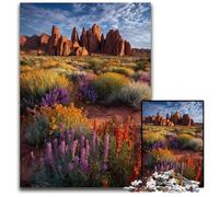 1000Pc Adults Jigsaw Puzzle Expansive Desert Landscape Cardboard Jigsaw Puzzles Educational Games, Enhance Love between Couples for Age 14 Years Up 26X38CM