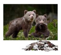 1000Pc Adults Jigsaw Puzzle Two Bear Cubs in Forest Jigsaw Puzzles Challenging Brain Teaser Relaxing Toy for Teenagers 1000 PCS(38x26cm)