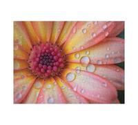 1000pcs(52x38cm) Jigsaw Puzzles for Adults Morning Dew Flower Adult Puzzles Hands-on Game A Work of Art Unique Gifts for Birthday And Christmas 1000pcs(52x38cm)