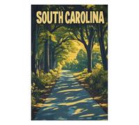 1000pcs(75x50cm) Rompecabezas Para Adolescentes South Carolina Road Through Trees Rompecabezas Para Adultos Juegos Divertidos Desafío Difícil Juego Desafiante Regalos 1000pcs(75x50cm)