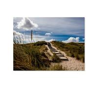 1000Pcs，Beach grass, steps into the dunes，Jigsaw Adult Decompression Game Puzzle Students Toy For Children Christmas Birthday Gifts（75x50cm）-AR76