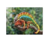 1000Pcs，Beautiful panther chameleon，Jigsaw Adult Decompression Game Puzzle Students Toy For Children Christmas Birthday Gifts（50x70cm）-I4