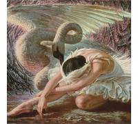 1000pcs Jigsaw Puzzles for Adults-Watercolor Ballerina Sitting Posture-Wooden Puzzle, Youth Children Colorful Puzzle, Decompress Game, Challenge Puzzle, Toy Best Gift, Family Game