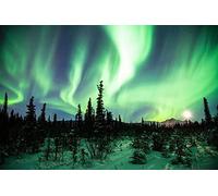 1000pcs Jigsaw Puzzles Northern Lights or Aurora Borealis Alaska Intellectual Decompressing Fun Game Adults Kids