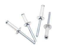 1000pcs M3-M3.2 Aluminum Mushroom Head Blind Rivets, Break Mandrel Pop Rivets for Furniture, Car & Aircraft(M3X6mm)