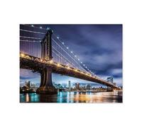 1000Pcs，New York - the city that never sleeps，Jigsaw Adult Decompression Game Puzzle Students Toy For Children Christmas Birthday Gifts（50x70cm）-B44