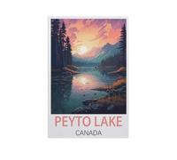 1000Pcs，Peyto Lake Canada，Jigsaw Adult Decompression Game Puzzle Students Toy For Children Christmas Birthday Gifts（75x50cm）-FR43