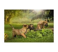 1000Pcs，Puppies Discover the World，Jigsaw Adult Decompression Game Puzzle Students Toy For Children Christmas Birthday Gifts（38x26cm）-AE93