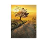 1000pcs Puzzle for Adults，Landscape in the morning sun，Colourful Handmade Puzzle for Home Decoration Gifts Family Puzzle Perfect for（50x70cm）-AM96